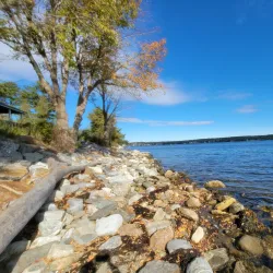 Belfast City Park - Belfast