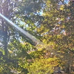 Belfast City Park - Belfast