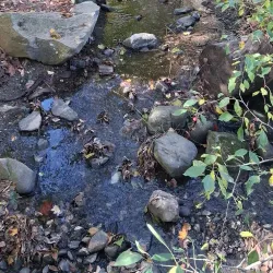 Belfast City Park - Belfast