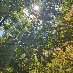 Belfast City Park - Belfast