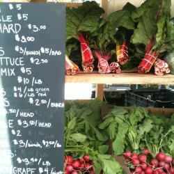Belfast Farmers' Market - Belfast