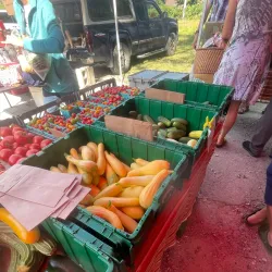 Belfast Farmers' Market - Belfast