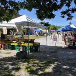 Belfast Farmers' Market - Belfast