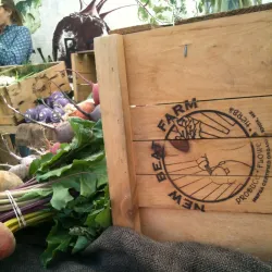 Belfast Farmers' Market - Belfast