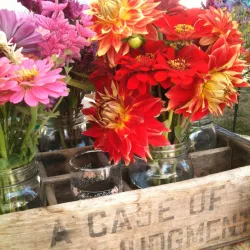Belfast Farmers' Market - Belfast