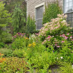 Belfast Free Library - Belfast