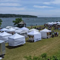 Belfast Sculpture Park - Belfast