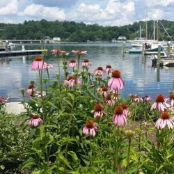 Downtown Belfast Historic District - Belfast