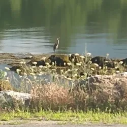 Downtown Belfast Historic District - Belfast