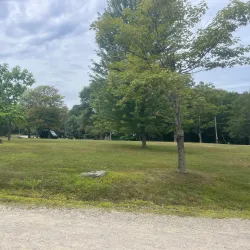 Thompson Park - Belfast