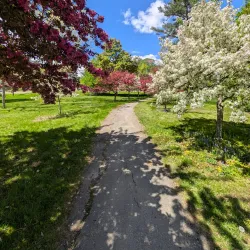 Thompson Park - Belfast