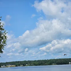 Thompson Park - Belfast