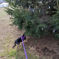 Brunswick Town Mall - Brunswick