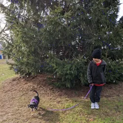 Brunswick Town Mall - Brunswick