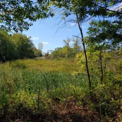 Brunswick Waterfront Park - Brunswick