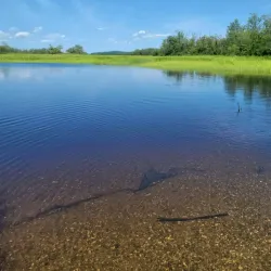 Brunswick Waterfront Park - Brunswick