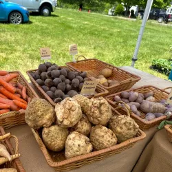 Crystal Spring Farm - Brunswick