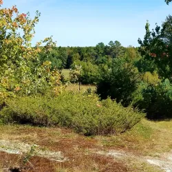 Crystal Spring Farm - Brunswick