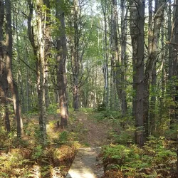 Merrymeeting Fields Preserve - Brunswick