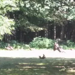 Eliot Memorial Park - Eliot