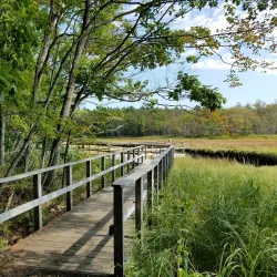 Rachel Carson National Wildlife Refuge - Eliot