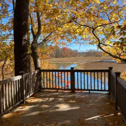 Rachel Carson National Wildlife Refuge - Eliot