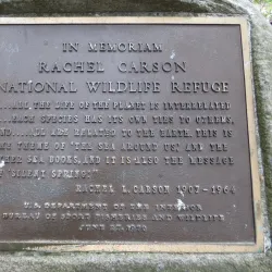 Rachel Carson National Wildlife Refuge - Eliot