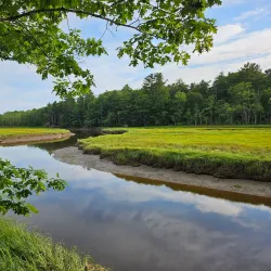 Rachel Carson National Wildlife Refuge - Eliot