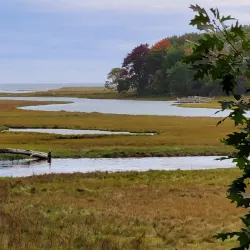 Rachel Carson National Wildlife Refuge - Eliot