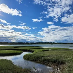 Rachel Carson National Wildlife Refuge - Eliot