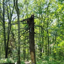 Rachel Carson National Wildlife Refuge - Eliot