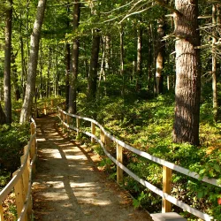 Rachel Carson National Wildlife Refuge - Eliot