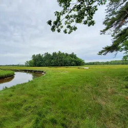 Rachel Carson National Wildlife Refuge - Eliot