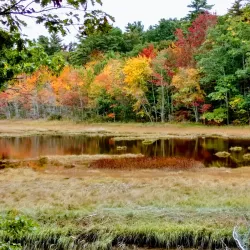 Rachel Carson National Wildlife Refuge - Eliot