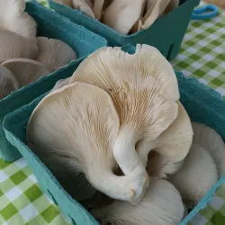 Ellsworth Farmers Market - Ellsworth