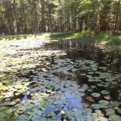 Ellsworth Historical Walking Tour - Ellsworth