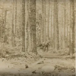 Ellsworth Historical Walking Tour - Ellsworth