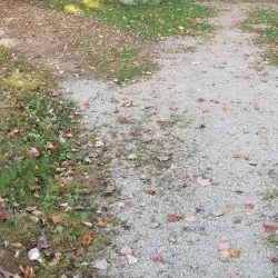 Woodlawn Museum Gardens - Ellsworth