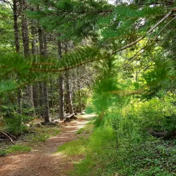 Woodlawn Museum Gardens - Ellsworth