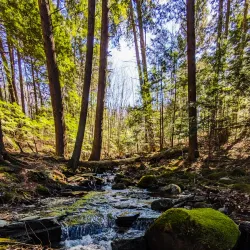 Kennebec River Rail Trail - Fairfield