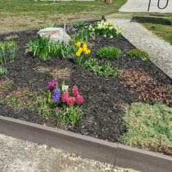 Pettingill Park - Lewiston