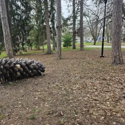 Deering Oaks Park - Portland