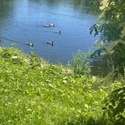 Deering Oaks Park - Portland