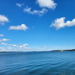 Bug Light Marina - South Portland