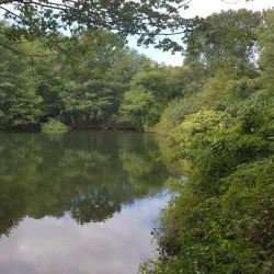 Hinckley Park - South Portland