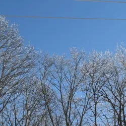 Hinckley Park - South Portland