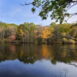Hinckley Park - South Portland