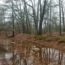 Hinckley Park - South Portland