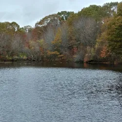 Hinckley Park - South Portland