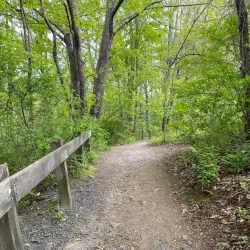 Hinckley Park - South Portland